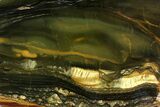 Polished Packsaddle Tiger Eye Slab - Western Australia #158175-1